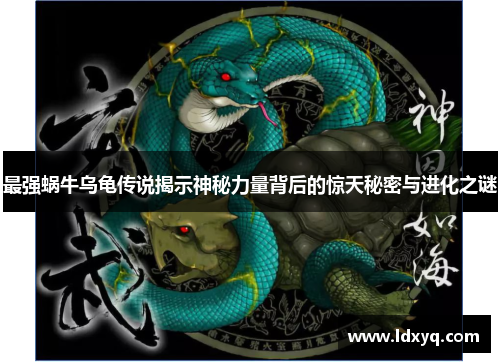 最强蜗牛乌龟传说揭示神秘力量背后的惊天秘密与进化之谜